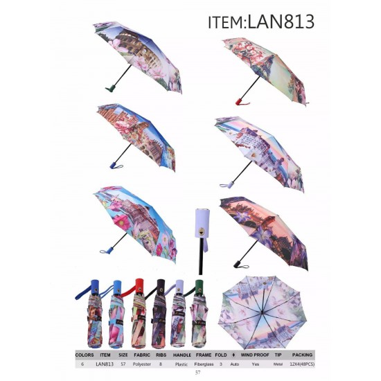 LAN813