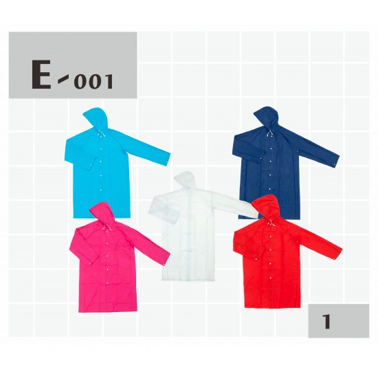 E001